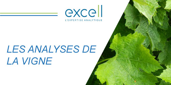 Les analyses de la vigne