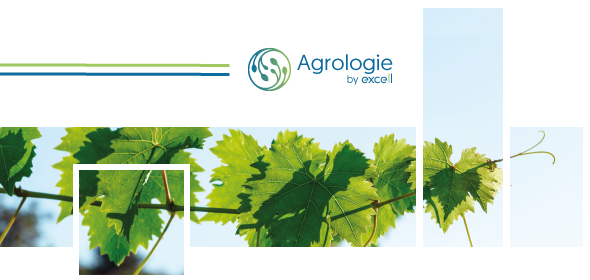 Guide de l’analyse foliaire