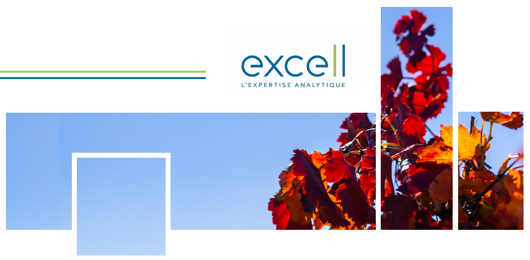 Des analyses pour accompagner la période viticole automnale