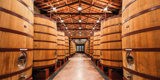 EN LIVE AVEC EXCELL #14