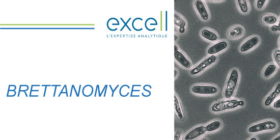 BRETTANOMYCES