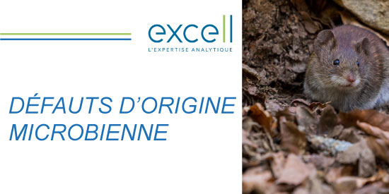 DÉFAUTS D'ORIGINE MICROBIENNE