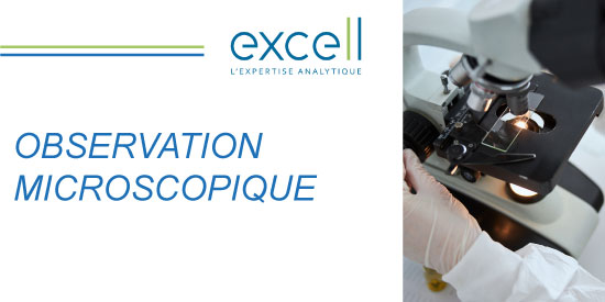 OBSERVATION MICROSCOPIQUE