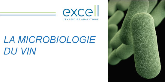 LA MICROBIOLOGIE DU VIN