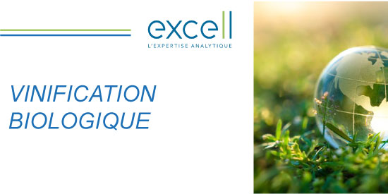 VINFICATION BIOLOGIQUE