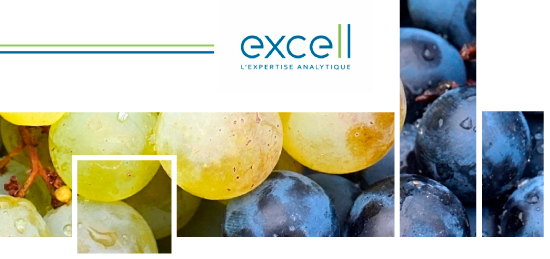 FLASH INFO : Vendanges 2020 n°3