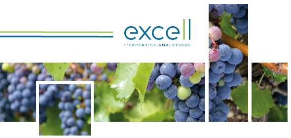 Le dosage des phénols volatils, deux nouvelles options pour maintenir les suivis !