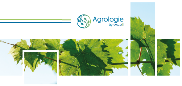 Le silicium fait partie de notre pack analyse foliaire