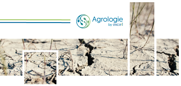 Programme Hydro Resilience by Excell